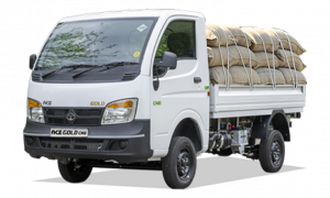 TATA ACE GOLD CNG +